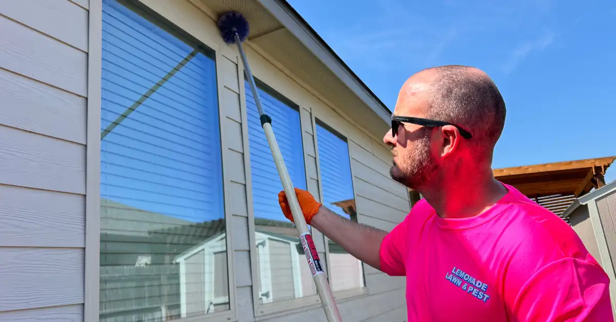 Pest Control Service