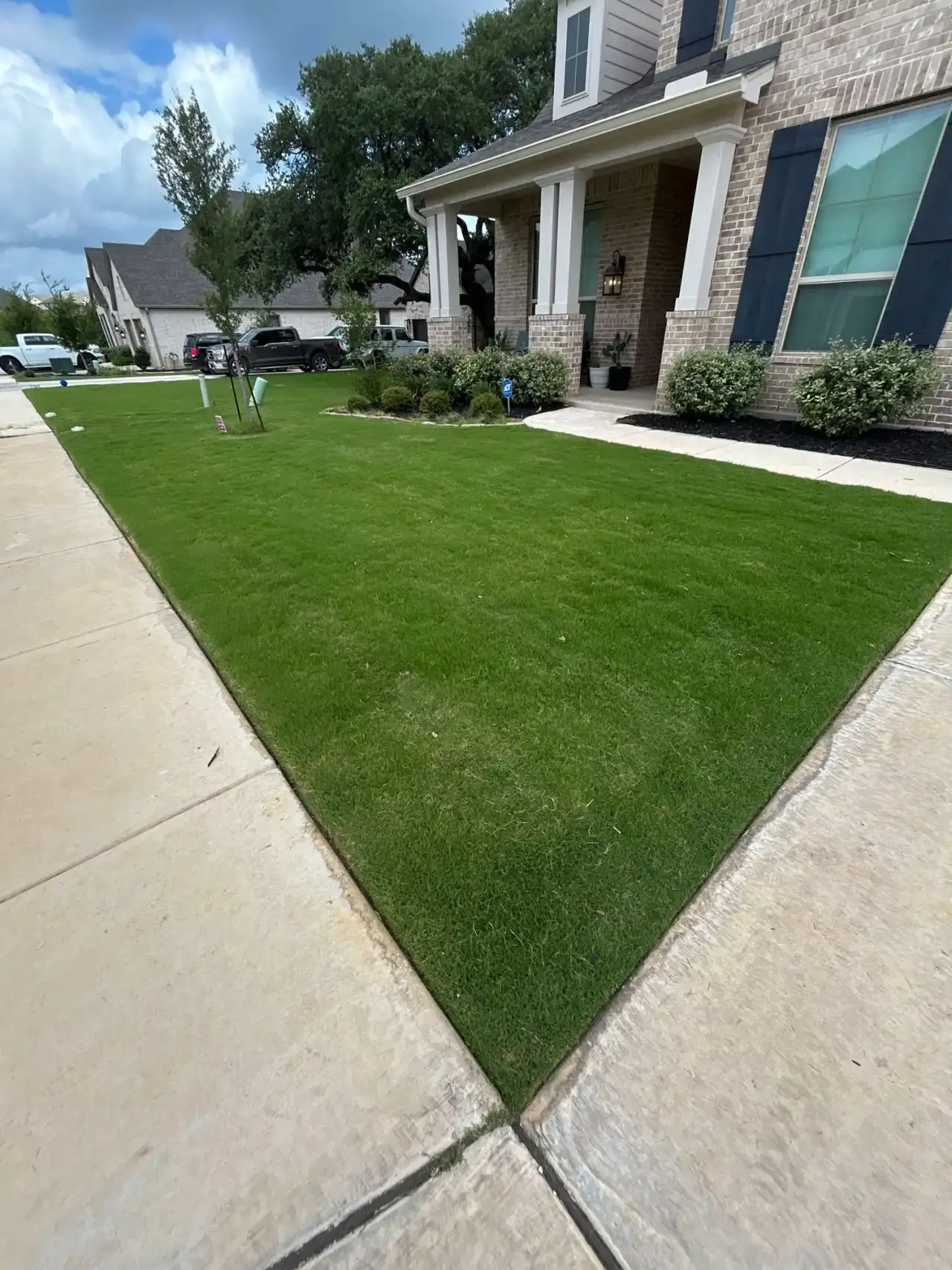 Thick green Bermuda front lawn in New Braunfels after Lemonade Lawn Care fertilization and weed control